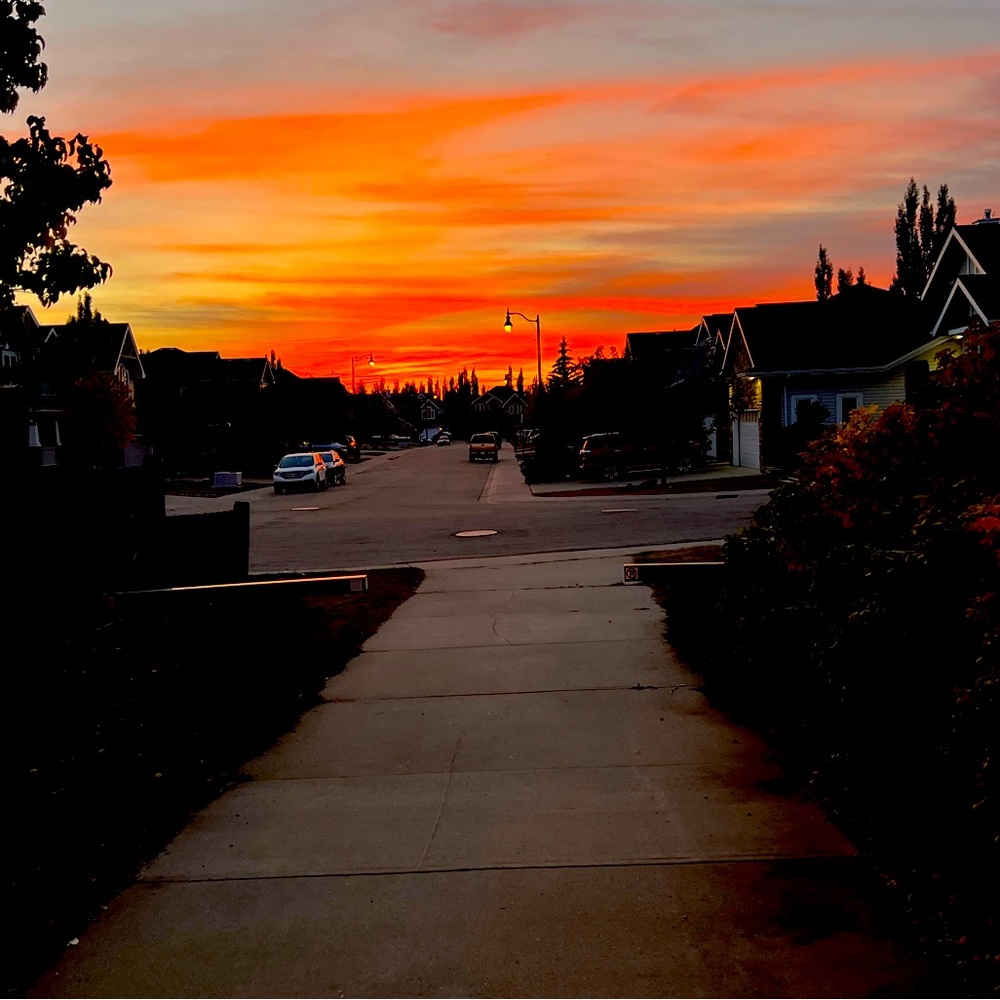 Meet your Posher, Jaime